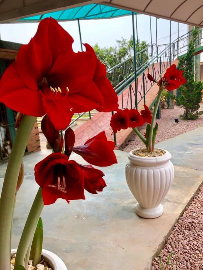 Hotel Blumenpark Rio Negro  Eksteriør billede